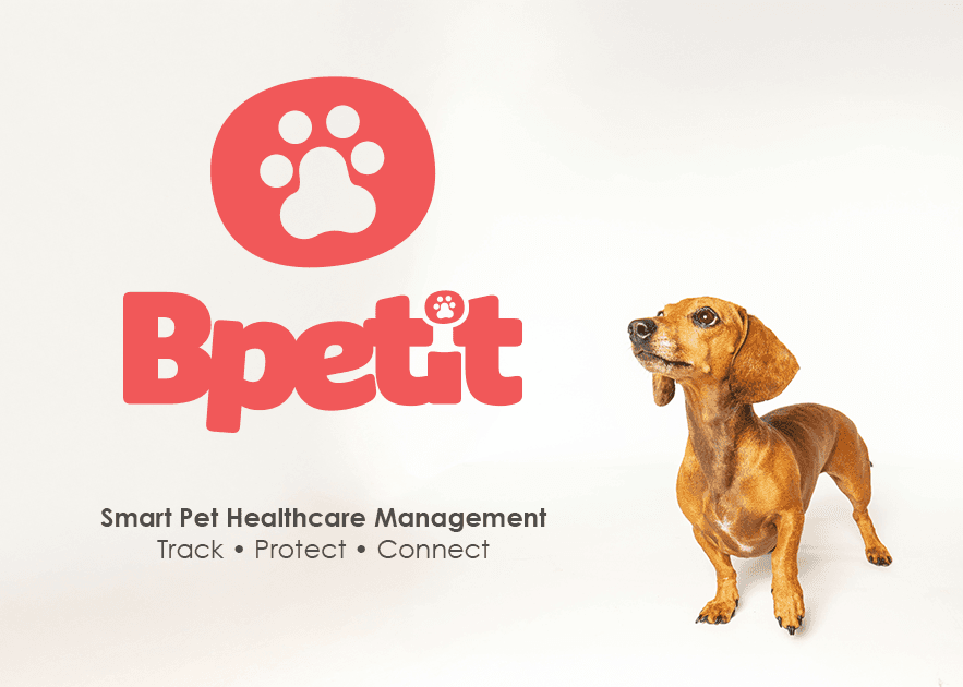 BPetit